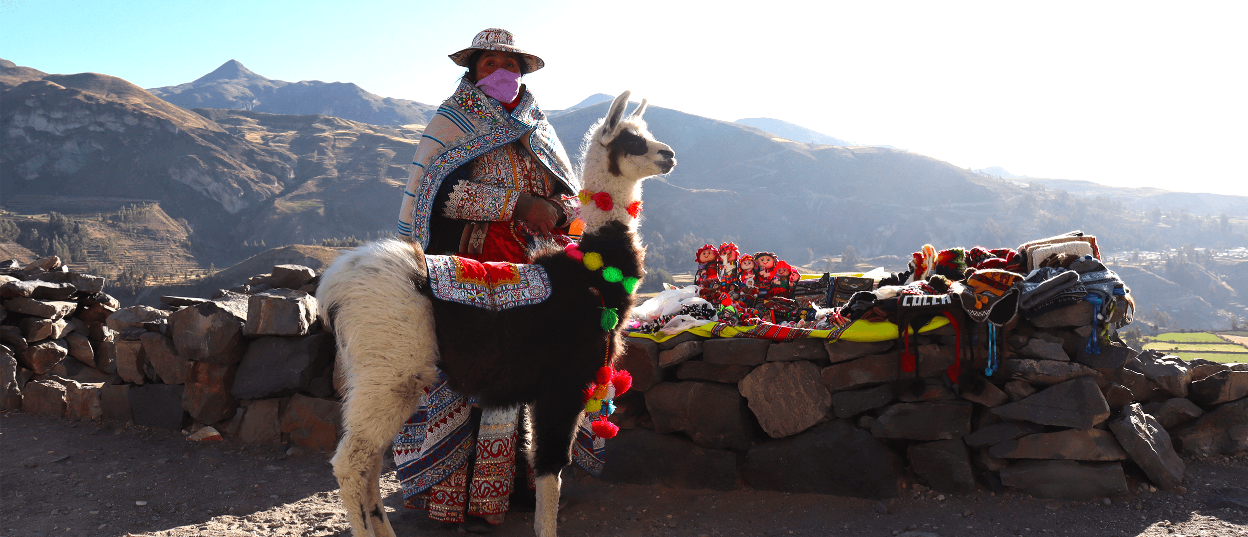 persona y llama